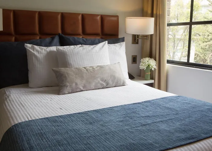 Flowsuites Polanco Mexico City